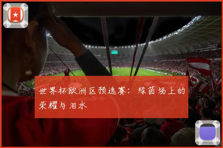 世界杯欧洲区预选赛：绿茵场上的荣耀与泪水