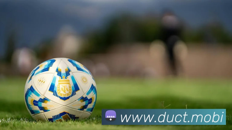 云开体app官网登录入口发展历程